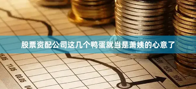 股票资配公司这几个鸭蛋就当是萧姨的心意了